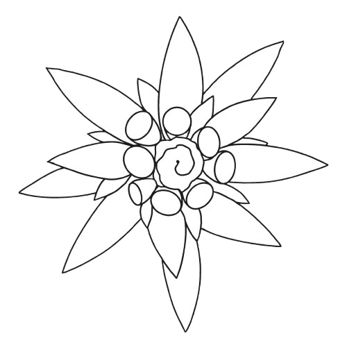 Logo Club De Patinaje Edelweiss